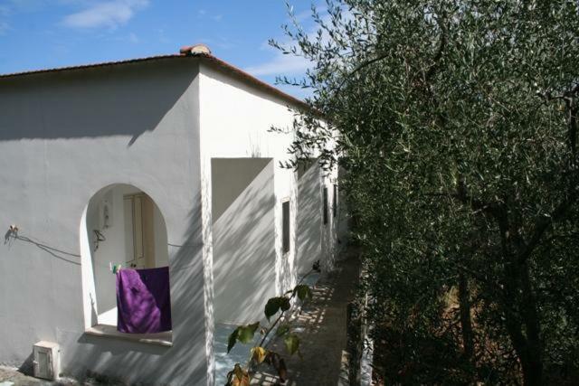 Casa Vacanze Pizzone Lejlighed Peschici Eksteriør billede